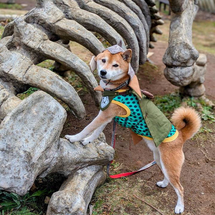 124228e0 5248 4b6a bb14 8c3bb01dfefe 1766119848632