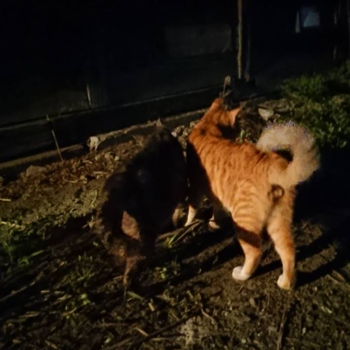 124243fd 12d3 4c4d a3e6 faee8b542427 1565438086191