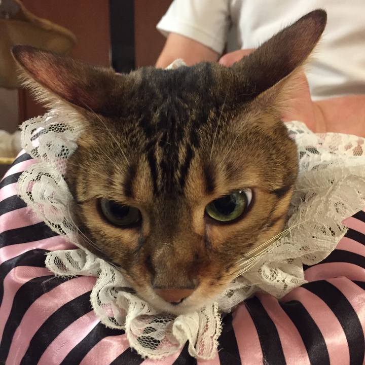 12424e69 aac7 4314 bc51 844bf7a56f5c 1539382969461