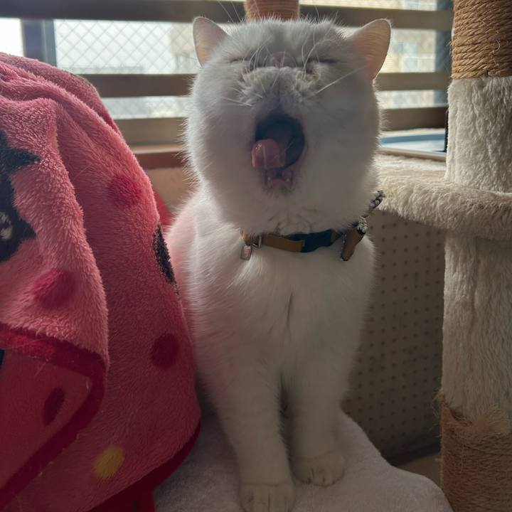 12429831 3dc5 4ed6 897a c47b911facda 1742820869152