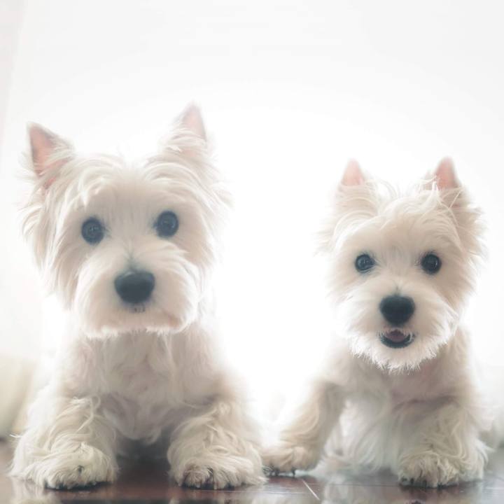 1242e49b 46ae 46bb 91a2 578b0a90035e 1535428986137