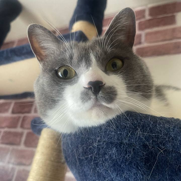 12430e47 b540 444f b567 72b1ba38fd83 1714867705821