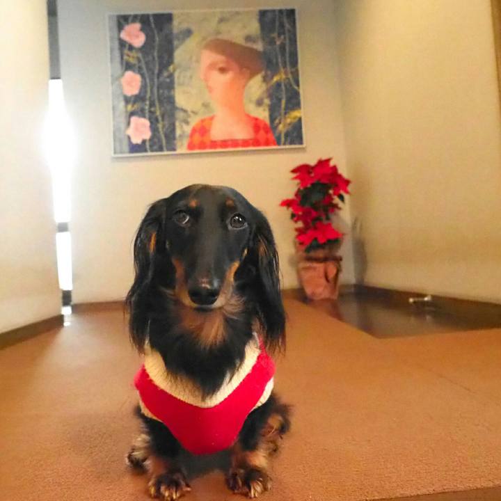 12430f51 5679 4192 85ff 3c6ffc89fd2f 1545791125782