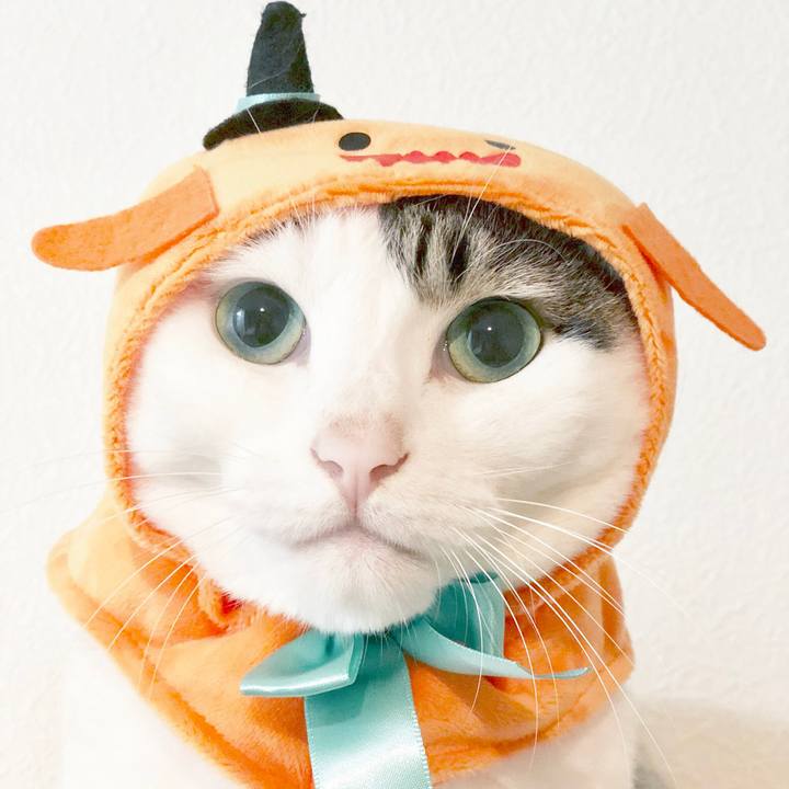 12433683 c08c 45a0 af05 3f6775d124bc 1536897337543