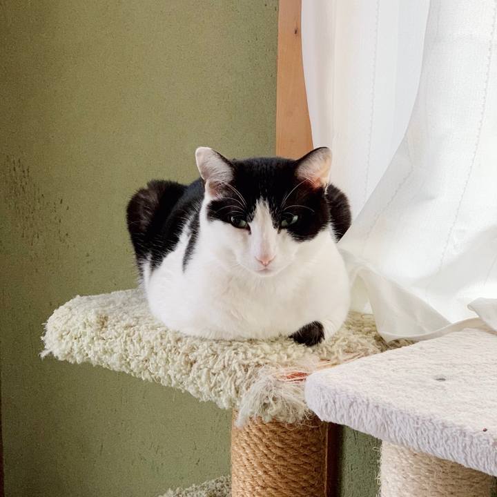 124344b0 070d 43b4 9f38 1206a2d58b4c 1553131317804