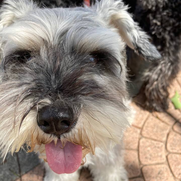 124355a2 cc40 4fc5 8397 5fd2bc315149 1590279762609