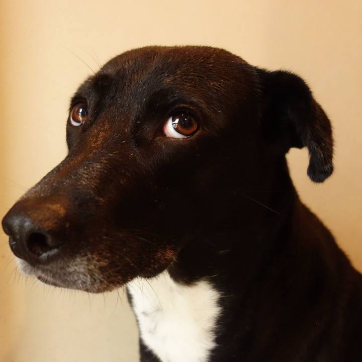 12435d78 0e54 4125 88fa dc1139895cc6 1622072957201