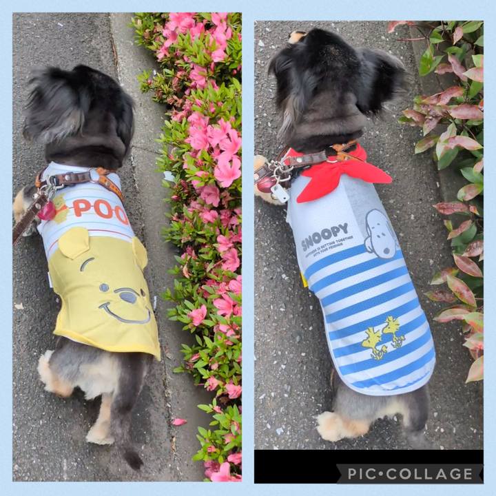 12437054 ff2d 457d 9a8b c911899ce48d 1747444809185