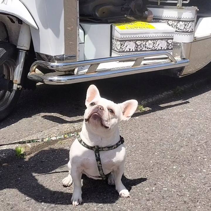 12438a7b 476f 4d44 879a a67d6ef53374 1683325702404