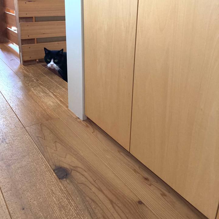 1243a4a6 caa8 42ba a9e5 e4549e887bf2 1625876825833