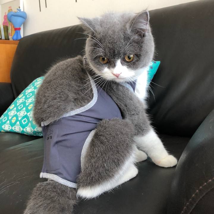 1243d73e ac2c 4297 ab64 4c7839616bc0 1512792821623