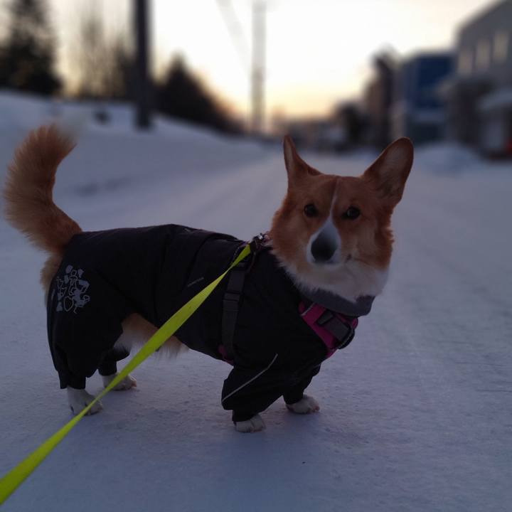 1243d917 ce59 46fb beda 41f4361435e1 1768520411409