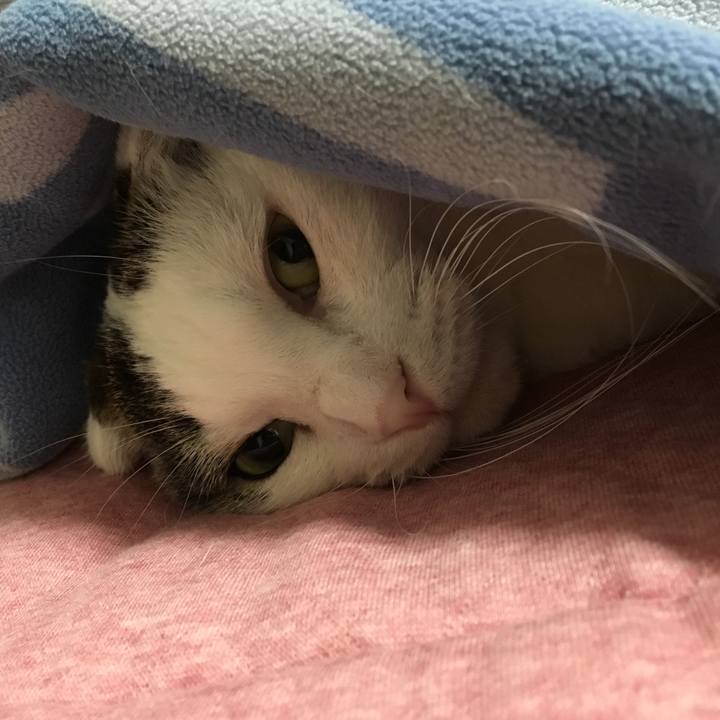 1243fe7f 0476 482f 8b4e c188efd23351 1508656241566