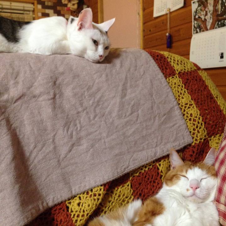 12441426 8065 4839 8456 777f29ecded1 1509627007683