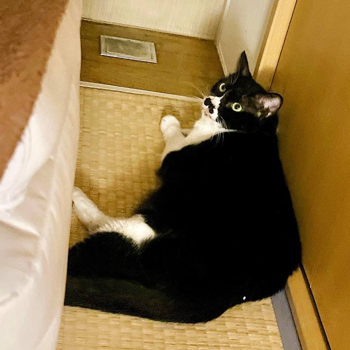 1244208c b26e 41f6 b9b6 46d4a8bec377 1661580610390