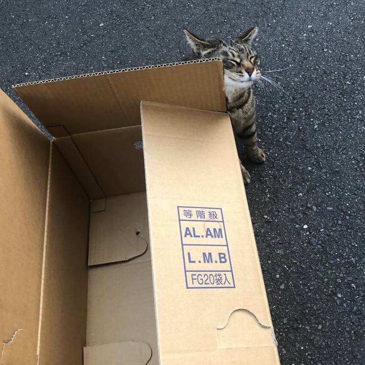 12445ebd 1cc7 4112 b318 1a07fb7ab230 1588590810760