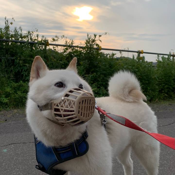 12446179 9d6d 4668 9522 f41c50948974 1625258951432