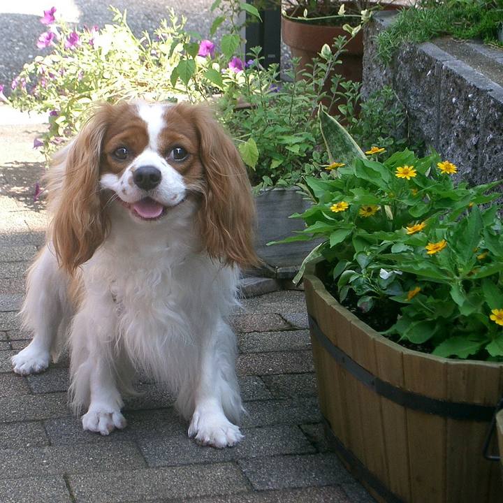 12449e96 e9d4 4162 b301 a99e59e0ada1 1518316162902