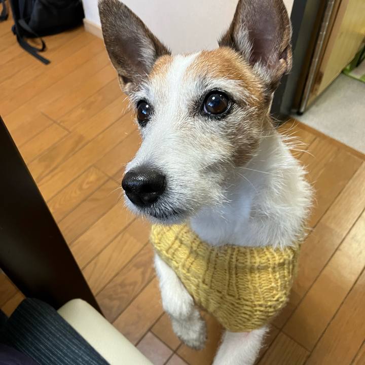 1244b1f5 1a17 49c3 aafb eeb8deb13ea4 1673054036431