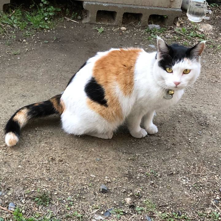 1244b647 5e50 45ae 9482 de76b42efb4f 1614032599907