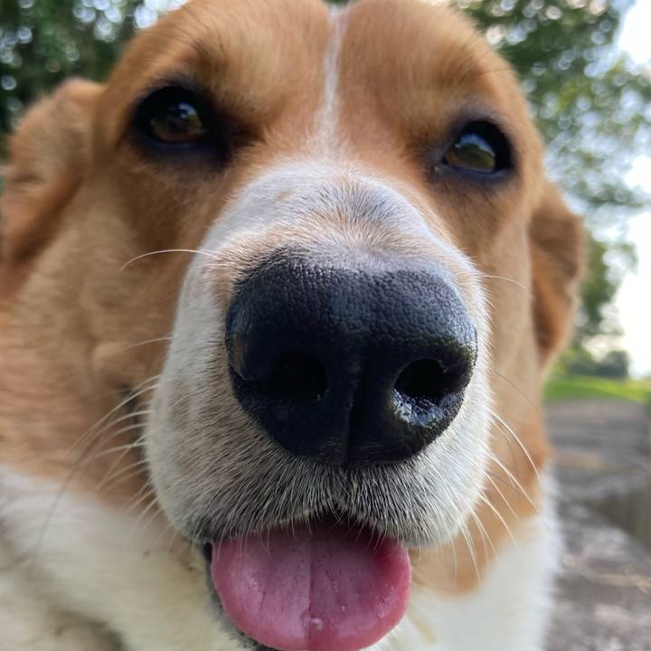 1244cc18 d4df 4dfd be3d 47a4259ed749 1686968996822