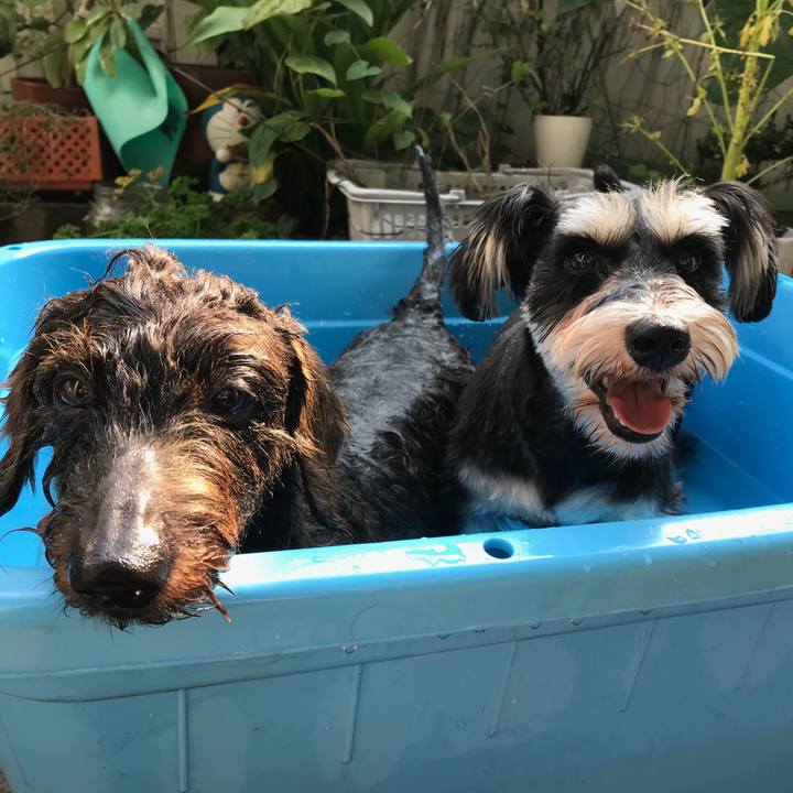 1244e662 0792 4011 945f 2db65003ba4b 1564305020621