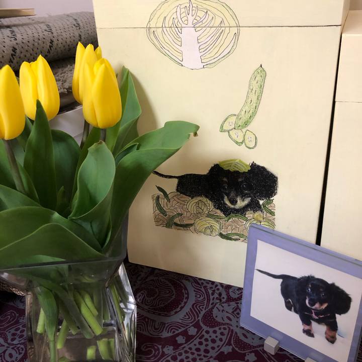 1244e6e8 010e 4ed6 adfb 997d3867438f 1615814495548