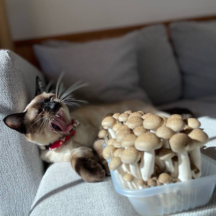 1244e8ad fad8 4238 a779 2ba2ae13b67b 1710048392874