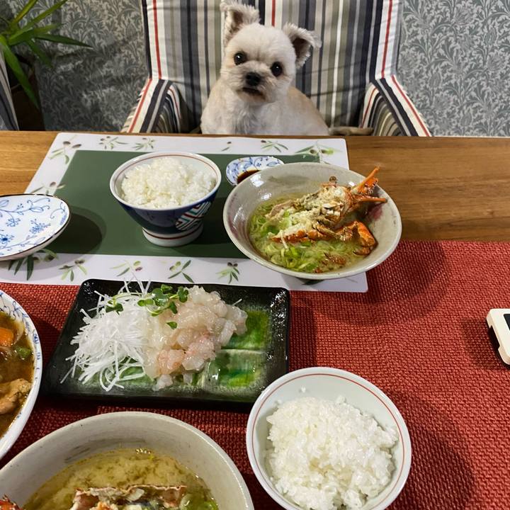 1244f987 19aa 4ea6 a6b0 ab11e805f92b 1727606406490