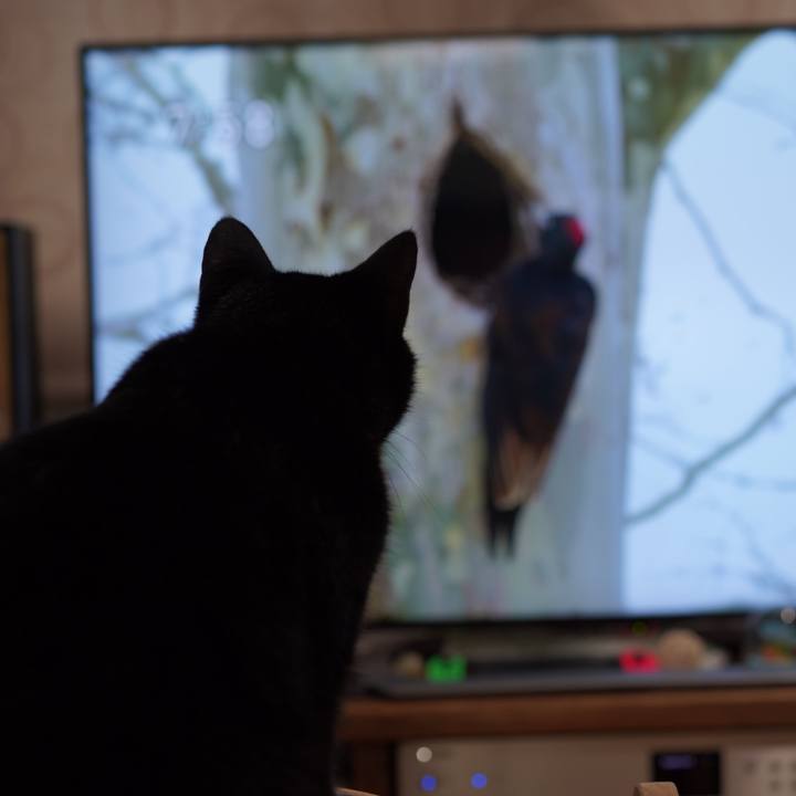 1245639e b9fe 42f7 bd90 49aef76c4a9e 1625406109939