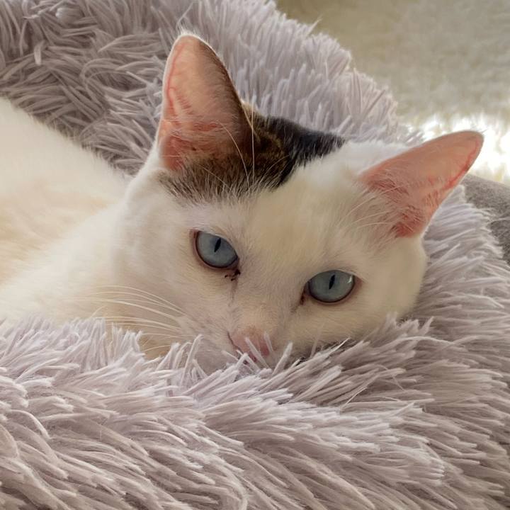 12456dc1 1b9c 4a19 81ba d83b73249cfe 1675642579921