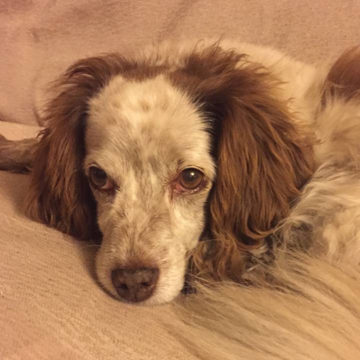 1245a64e e39c 4d50 9f2e 6a8c34d271a8 1509135495234