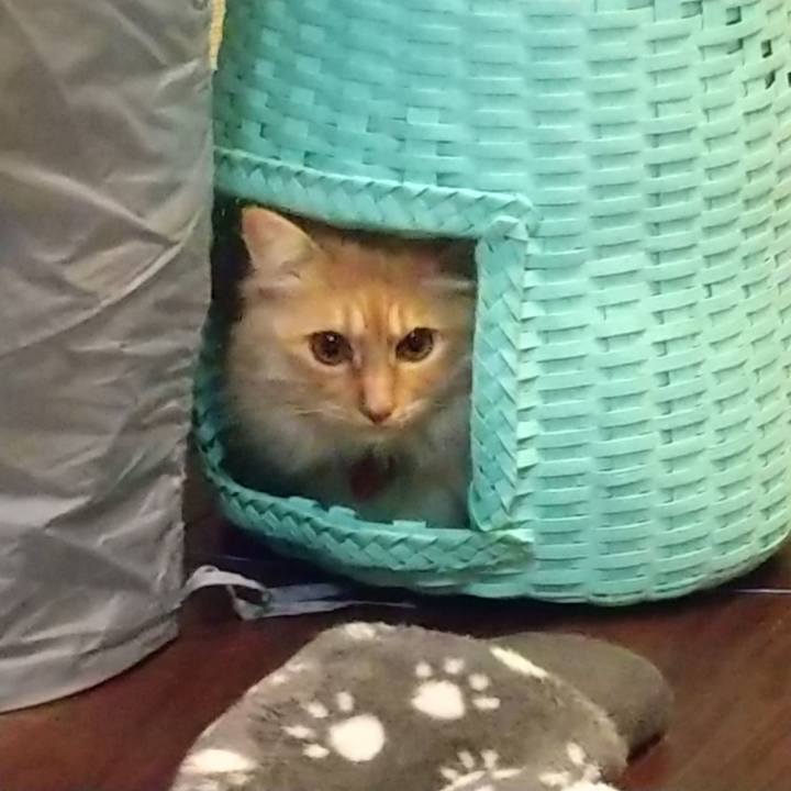 1245c39f b6c1 4a44 8a17 7dea13788db6 1647697980831