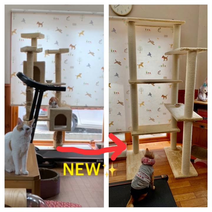 1245c6fc 2d12 46f7 b434 48a244fb6c3b 1629432910078