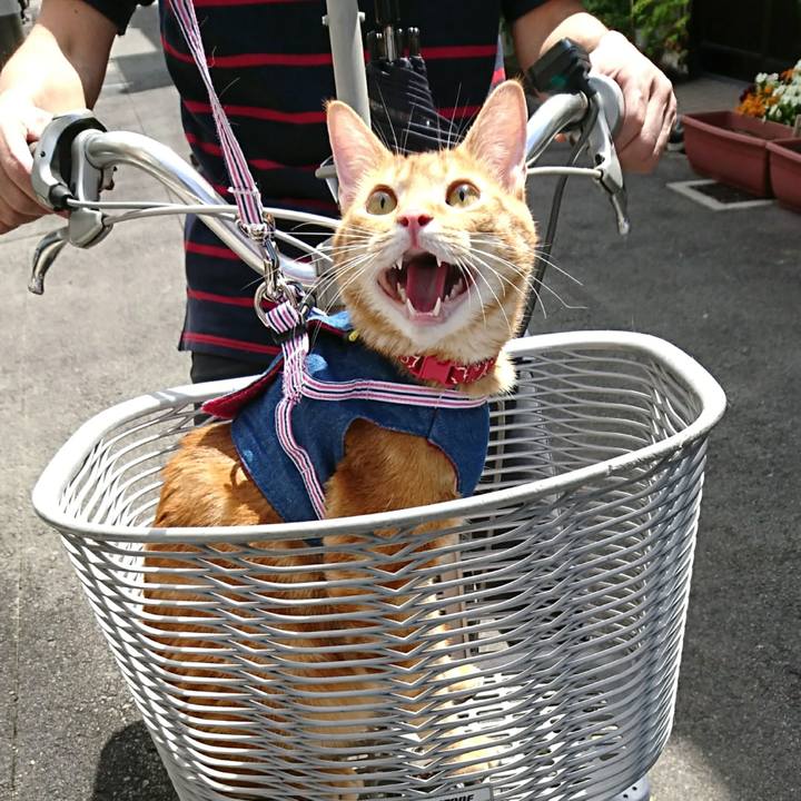 1245f165 4031 41e4 aaab 097d007c27bc 1544879465555