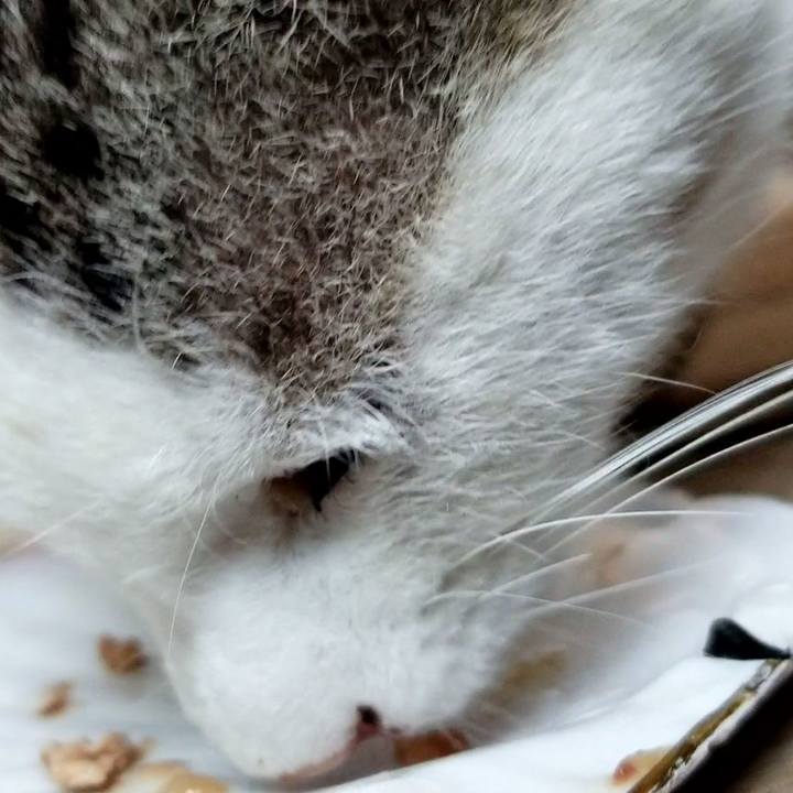 1246471d 9ccb 449a b6c2 f2687ca44c0d 1685187094614