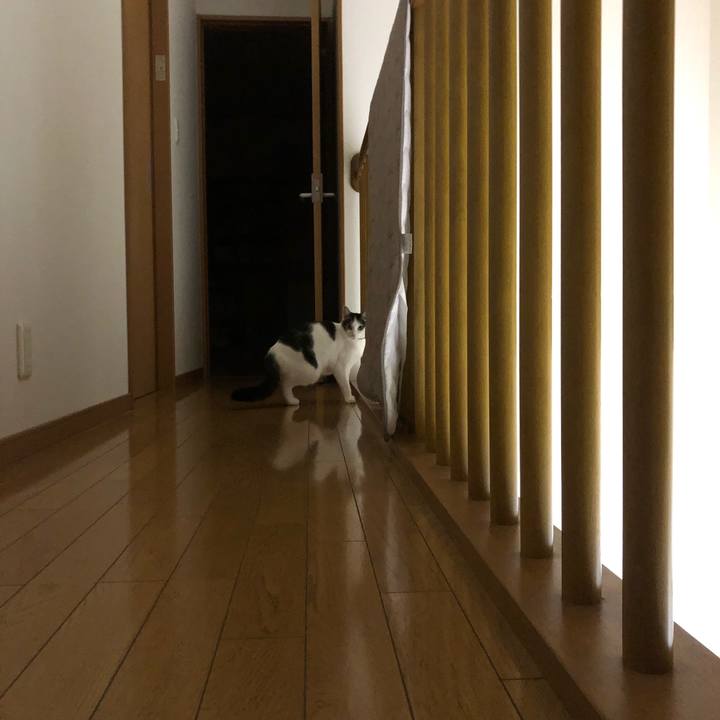 1246a4ea d689 497b a136 bf60903fbac2 1706356805390