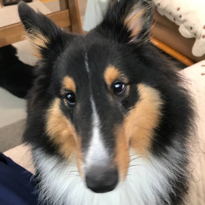 1246a5f1 093c 44d4 b236 c78131fee0fe 1531260111602