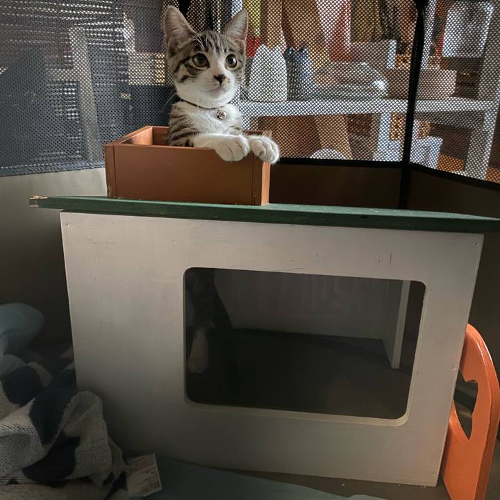 1246ecfe 2213 4079 af58 506557b3bbe3 1691919850281