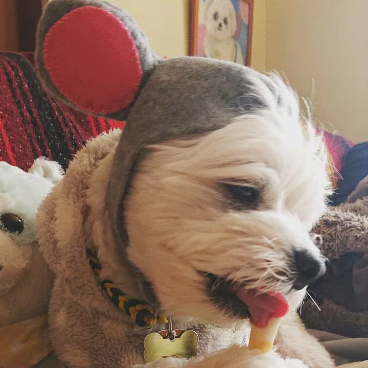 1246f84c 97e2 46fc ace1 7084b294e418 1578023219149