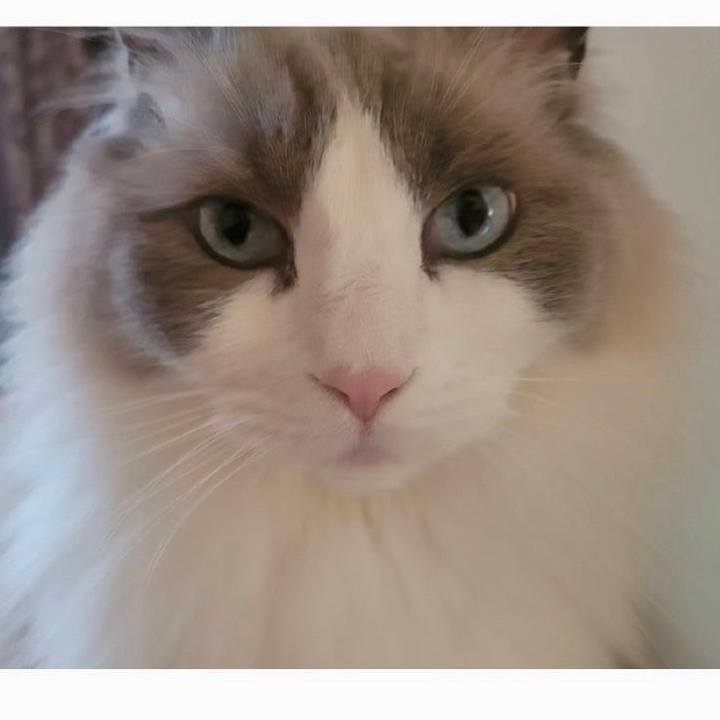 12470362 a8fb 4079 b0a0 0b802038bbce 1682731367849