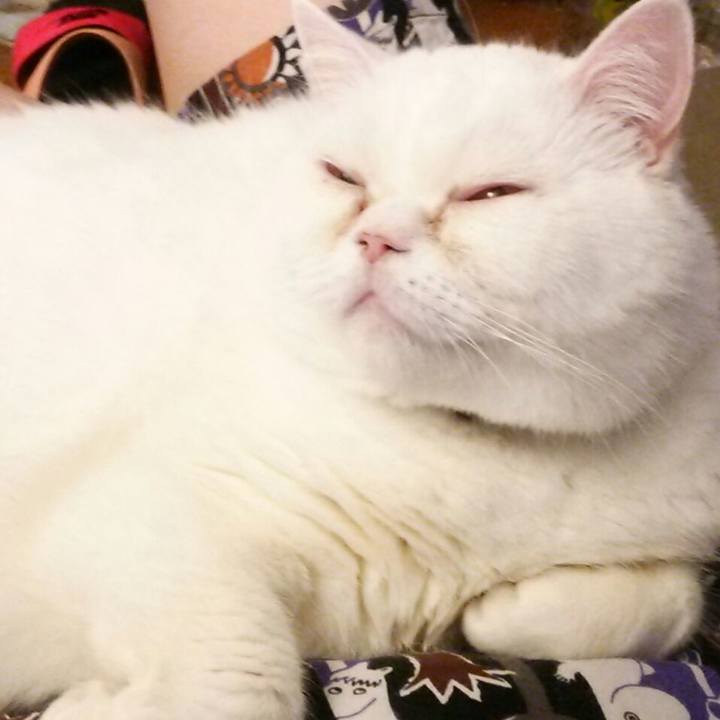 12471f5e 37e0 455e a350 244089d198e6 1587270704896