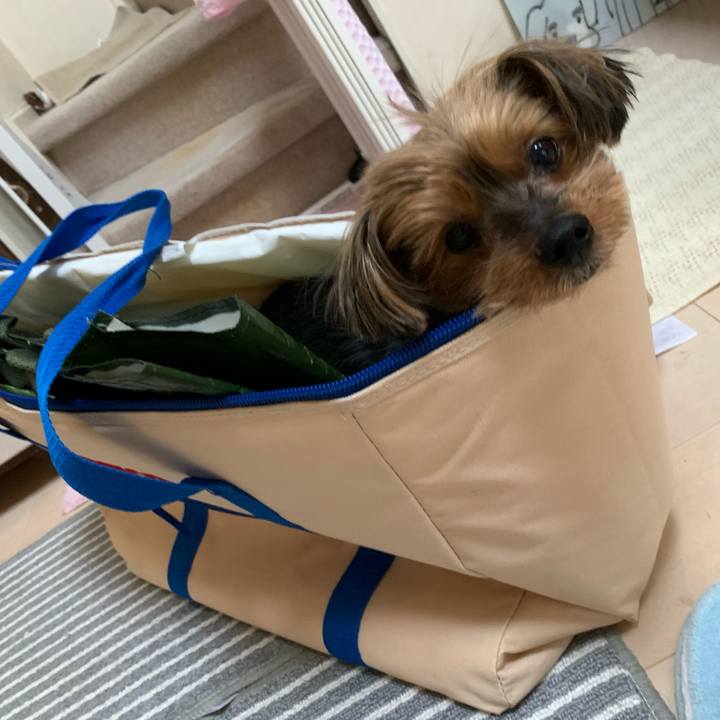 12473ef5 e42d 4dd0 a463 996a057a91b4 1619611468278