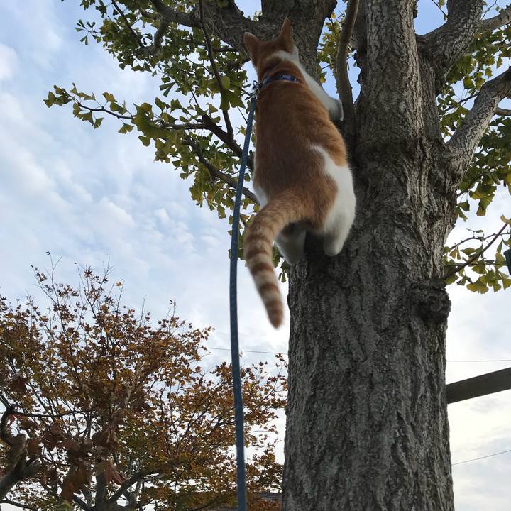 12474d8a e63e 45b4 8efe a8f1764eb6d7 1509605246439