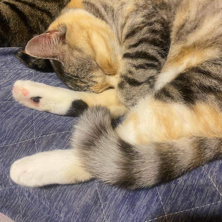 124795f2 f6e4 4145 a8e4 a3e28ff54d90 1622115586942