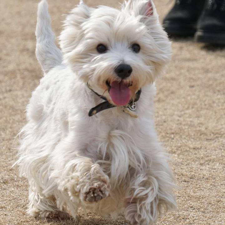 12479769 ef14 4e76 b62d 11a4cc1a3206 1517179816161