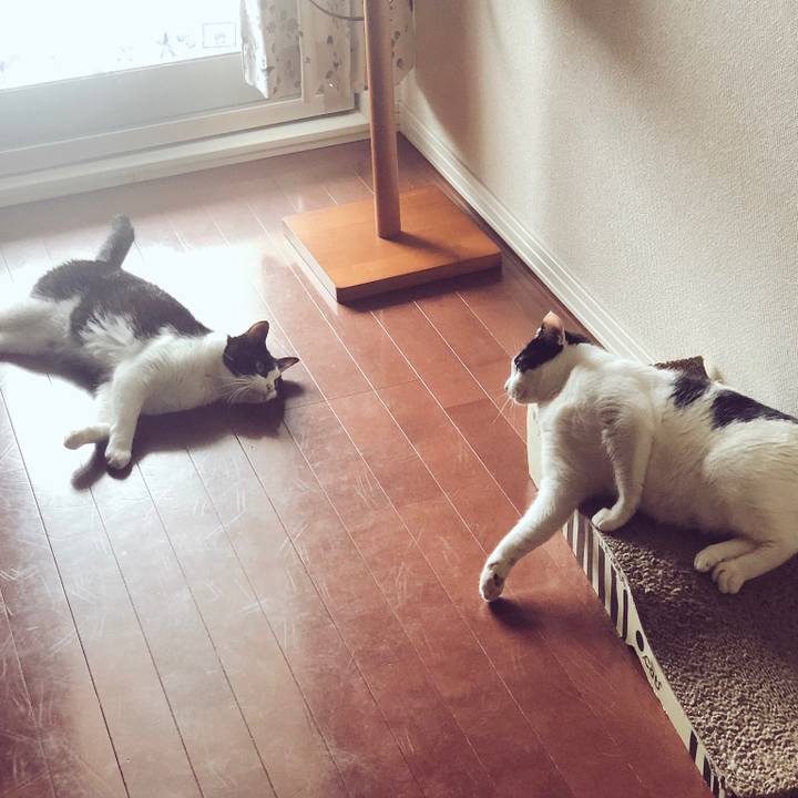 12479fa8 e229 45f2 8713 7adb7adc3dc8 1526709032467