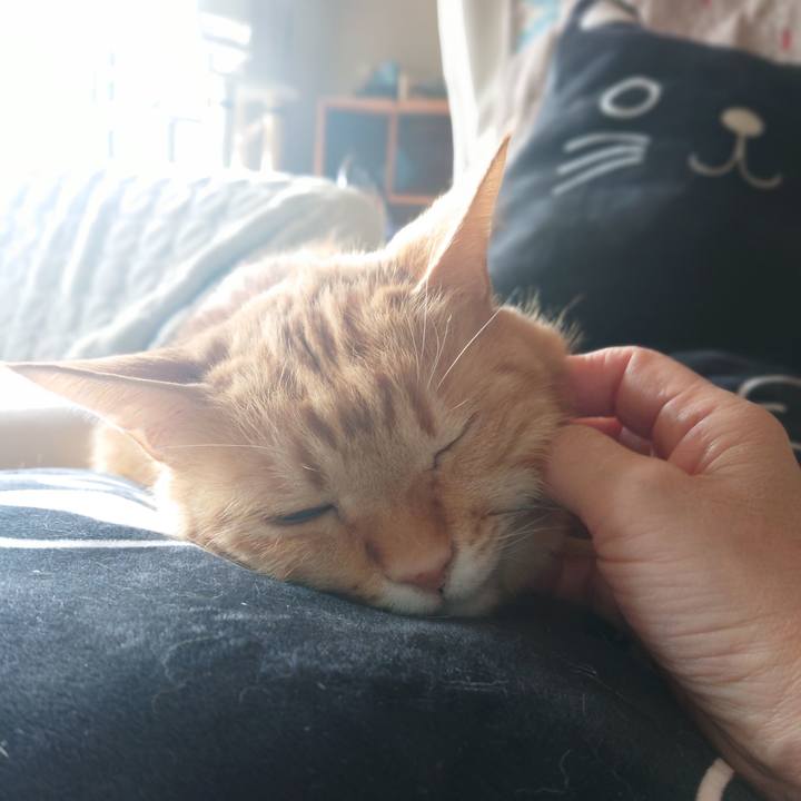 1247c1c3 6793 4f2d 8fe4 c597cb1e5c0e 1614484184414