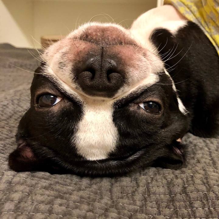 1247f44b d872 406e 8e73 079d7debf432 1549194083636