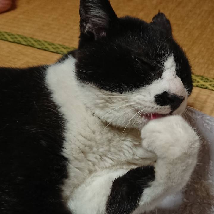 1247f9ff 0ed5 4f84 acd5 656b768da910 1620037697395